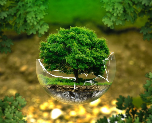 تغییر عادت‌هایی که به محیط زیست کمک می‌کند